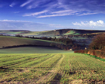 Lullington - South Downs